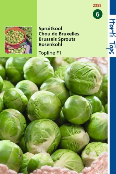 Spruitkool Topline F1 (Brassica oleracea) 180 zaden HT
